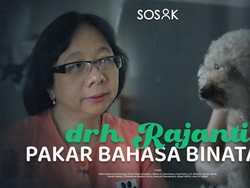 Kekuatan Super Dokter Rajanti, Bantu Anabul Suarakan Isi Hatinya