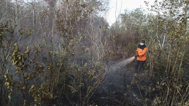 BPBD sebut jumlah hot spot 2 bulan terakhir meningkat tajam, di mana yang terbanyak di wilayah selatan yakni Mentaya Hilir Selatan dan Teluk Sampit.