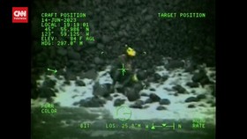 VIDEO: Aksi Heroik Kru Selamatkan Anjing yang Jatuh dari Tebing di AS