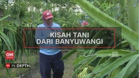 VIDEO: CNN In-Depth: Kisah Tani dari Banyuwangi