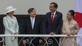 Ke RI, Kaisar Jepang Dikasih 'Oleh-oleh' Ikan Arwana dari Jokowi