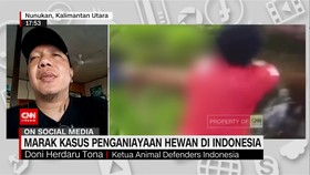 VIDEO: Marak Kasus Penganiayaan Hewan di Indonesia