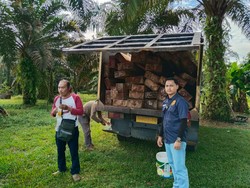Polisi Amankan Truk Angkut 5 Kubik Kayu Ilegal di Merangin, Sopir Tersangka