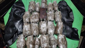 Polisi Bongkar Penyelundupan Ganja Disamarkan Ikan Asin di Depok