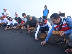 19 UMKM Binaan Pertamina Mejeng di Kebumen International Expo 2023