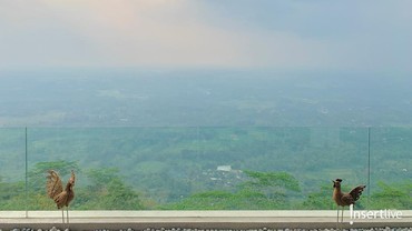 Sensasi Menikah di Atas Awan dengan Pemandangan Borobudur di Plataran