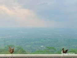 Sensasi Menikah di Atas Awan dengan Pemandangan Borobudur di Plataran