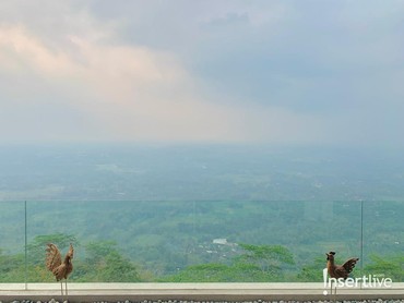 img-title Sensasi Menikah di Atas Awan dengan Pemandangan Borobudur di Plataran