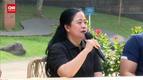 VIDEO: Puan Ungkap Hasil Kesepakatan Dengan AHY Usai Bertemu 1 Jam