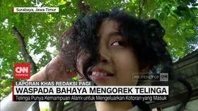 VIDEO: Waspada! Ini Bahaya Mengorek Telinga