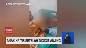 VIDEO: Anak Kritis Setelah Digigit Anjing
