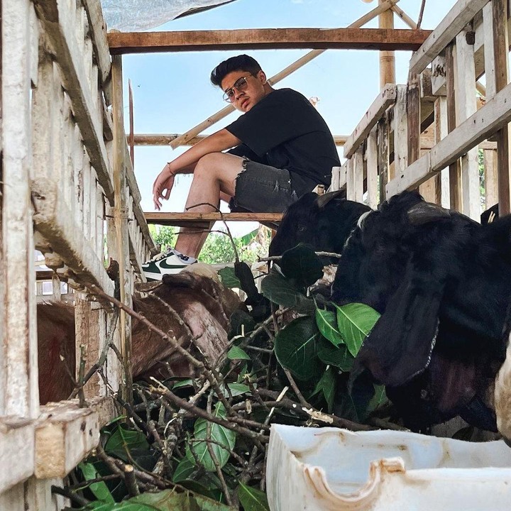 <p>Anak laki-laki yang lahir pada 7 Juni 2005 ini diketahui tengah mengembangkan bisnis peternakan. Kini, ia disebut sebagai juragan kambing, lho, Bunda. Pasalnya, di usianya yang masih muda ini, Baim sudah memiliki peternakan sendiri. (Foto: Instagram@drgoat.livestock)</p>