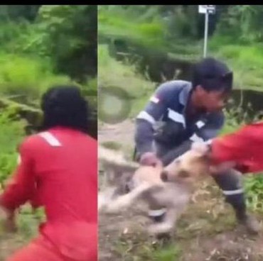 Dikecam Erick Thohir, 3 Pelaku Buang Anjing ke Buaya Terancam 9 Bulan Penjara