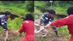 Curhatan Istri Pelaku Pelempar Anjing, Dibully Saat Lagi Hamil Tua