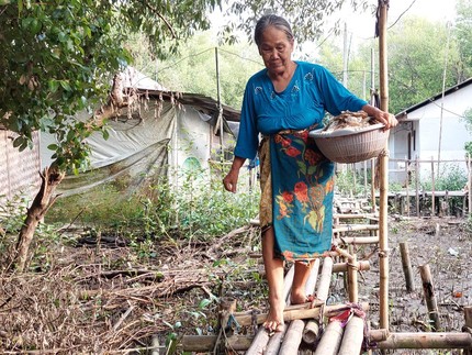 Nestapa Anak-anak hingga Nenek-nenek Berjalan di Jembatan Bambu Selalu Jeblos dan Terluka