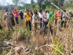 Empat Saksi Diperiksa Terkait Wanita Diduga Dibunuh di Lahan Jagung