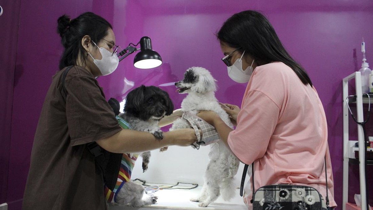 FOTO: Permintaan Vaksin Rabies Anabul Meningkat