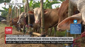 VIDEO: Antisipasi Penyakit Pemeriksaan Hewan Kurban Ditingkatkan