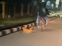 Aksi Pemotor Seret Anjing Berujung Diburu Pencinta Hewan-Polisi