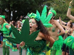Australia Perkenalkan Rancangan UU Legalisasi Ganja untuk Pemakaian Pribadi