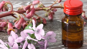 Memulihkan Diri dan Emosi Lewat Racikan Bunga Terapi Bach Flower