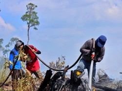 Duh! Cagar Biosfer GSK di Bengkalis Terbakar Diduga Akibat Buka Lahan Sawit