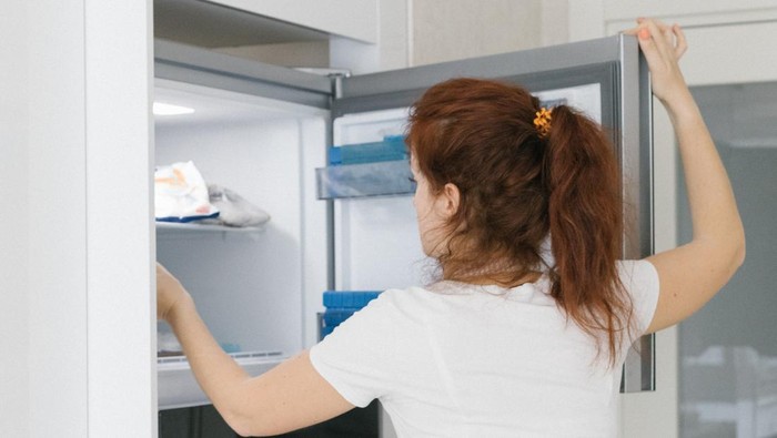 4 Penyebab Bunga Es Numpuk di Freezer dan Cara Mencegahnya