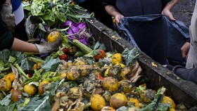 Laporan UNEP: Pada 2022, Dunia Membuang 1 Miliar Makanan Setiap Hari