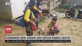 VIDEO: Kemenkes Berikan Vaksin dan Serum Rabies Gratis