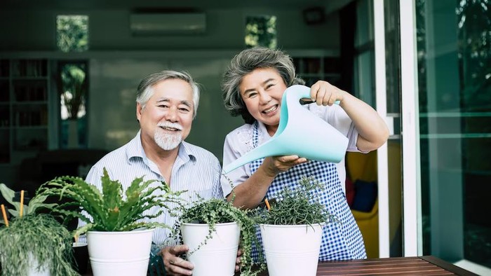 Kepribadian yang Bisa Bikin Panjang Umur/Foto: Freepik.com/jcomp