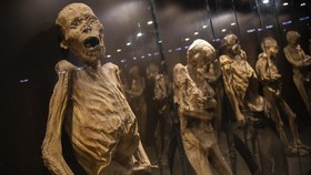 FOTO: Pameran Mumi di Meksiko Dibayangi Risiko Wabah
