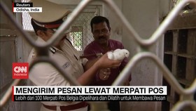 VIDEO: Polisi India, Kirim Pesan Lewat Merpati Pos