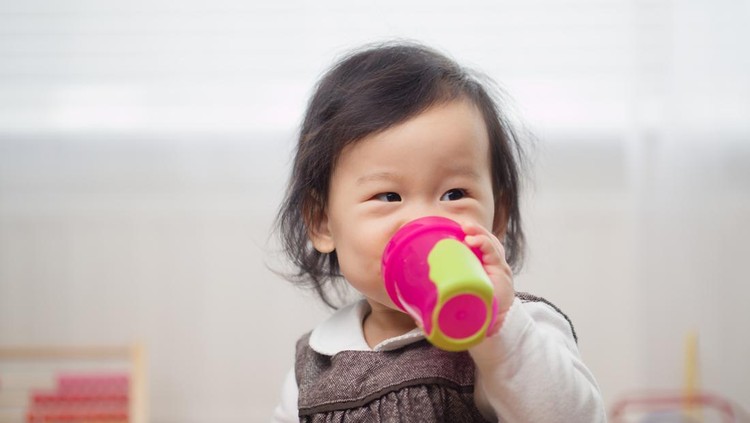 11 Rekomendasi Sippy Cup Terbaik untuk Minum Anak yang Aman Beserta Harganya