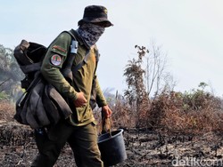 Cagar Biosfer GSK di Bengkalis Terbakar, KLHK Sebut untuk Kebun Sawit