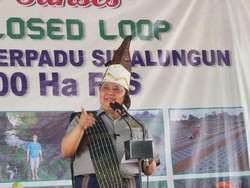 Airlangga Dukung Model Kemitraan Agribisnis Hortikultura di Simalungun