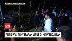 VIDEO: Kementan Antisipasi Penyebaran Virus di Hewan Kurban