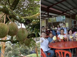 Asyik! Trip Singapura-Pahang Khusus Cicip Durian Musang King