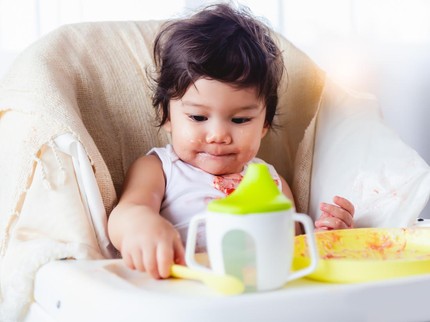 Panduan Pengunaan Sippy Cup untuk Balita, Perbedaan dengan Straw Cup & Usia Penggunaan yang Tepat