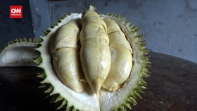 VIDEO: Mencoba Legit Dan Creamy Durian Mentega Lereng Gunung Semeru
