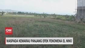 VIDEO: Waspada Kemarau Panjang Efek Fenomena El Nino