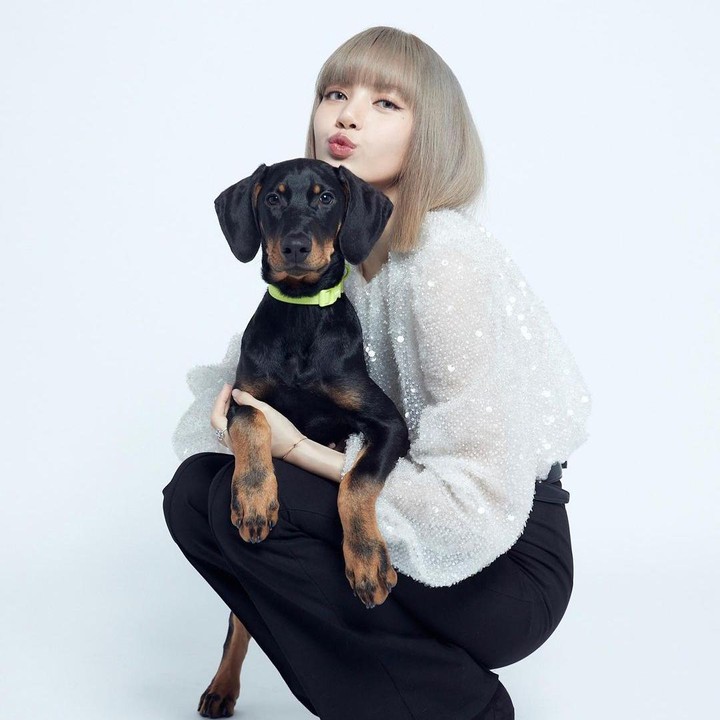 <p>Lanjut, ada Lisa BLACKPINK nih, Bunda. Wanita kelahiran Thailand ini memiliki 6 ekor hewan peliharaan yakni 5 kucing dan seekor anjing. Kucing-kucing Lisa diberi nama Leo, Luca, Lily, Louis, dan Lego. Terbaru, wanita berusia 26 tahun ini mengenalkan anjing ras doberman yang diberi nama Love. (Foto: Instagram: @lalala_lfamily)<br /><br /><br /></p>