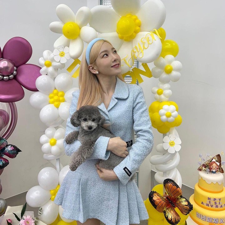 <p>Terakhir ada Taeyeon <em>leader</em> SNSD nih, Bunda. Wanita berusia 34 tahun ini memelihara seekor anjing pudel berwarna abu-abu. Anjing menggemaskan ini diberi nama Zero. (Foto: Instagram @taeyeon_ss)</p>