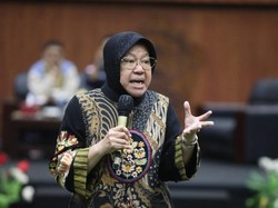 Mensos Risma Kenang Sosok Doni Monardo: Kami Punya Hobi Sama