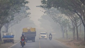 KLHK: Karhutla Kalsel Makin Parah, Penyakit ISPA Meningkat