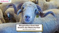 Mengenalkan Kisah Nabi Ibrahim Dan Makna Kurban Idul Adha Pada Si Kecil