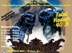 Ada Kontes Kambing Kaligesing Regional Jawa di Dompol Klaten Besok!