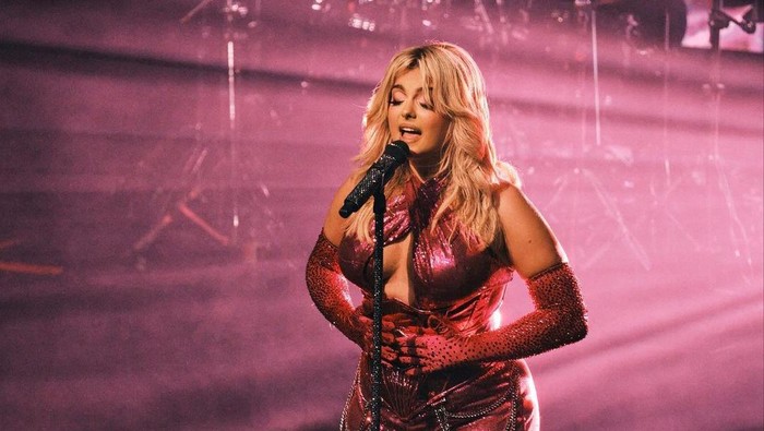 Selain Bebe Rexha, 4 Artis Internasional Ini juga Pernah Alami Penyerangan oleh Penggemar Saat Konser!