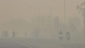 Kalimantan dan Sumatra Dominasi 10 Besar Polusi Udara, Cek Sebabnya