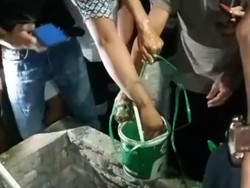 Geger Sumur Warga Pali Berwarna Hijau Bak Pertalite, Ini Penjelasannya
