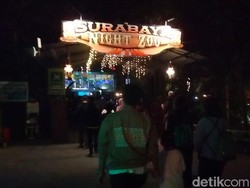Resmi Dibuka, Surabaya Night Zoo Langsung Diserbu Pengunjung